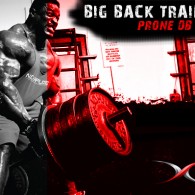 ronnie-coleman-back-training-195×195