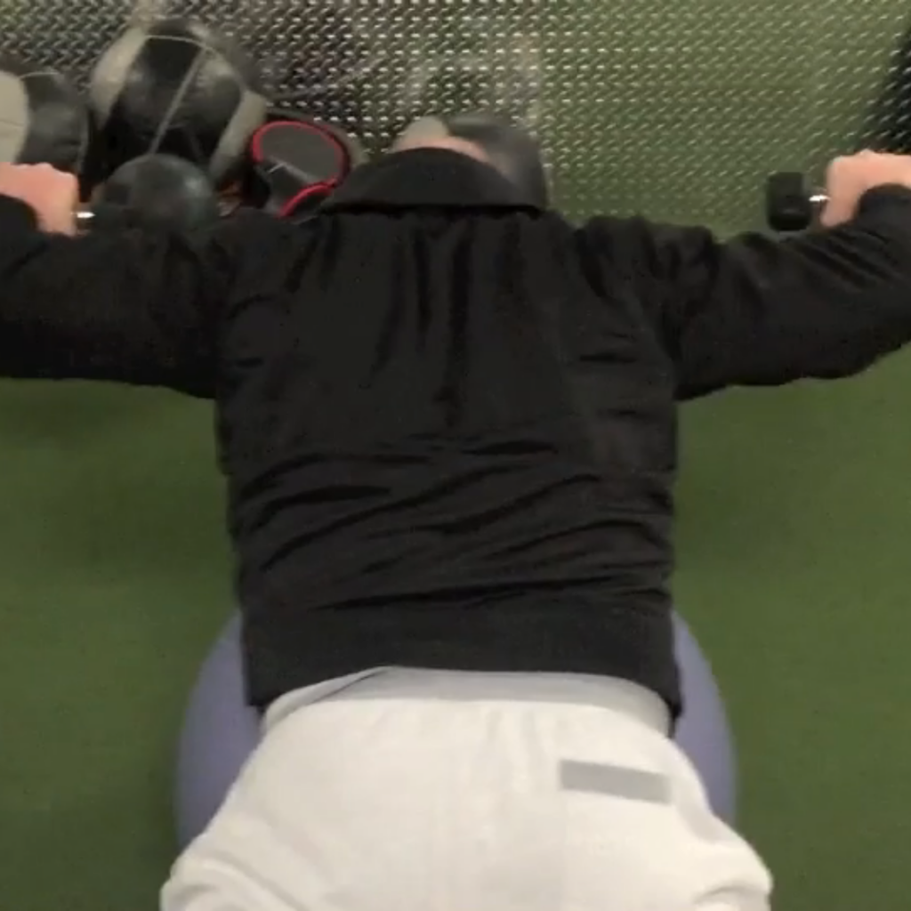 dieselsc-com-upper-back-bodybuilding-exercise