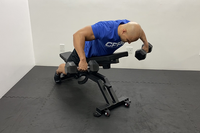 Back Extension Bench, Free Weights