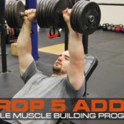 Simple Muscle Building Program